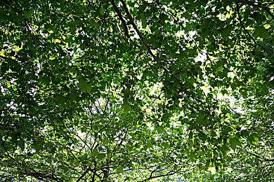 女性游戏组织呼吁Steam下架一款宣扬性侵犯的游戏