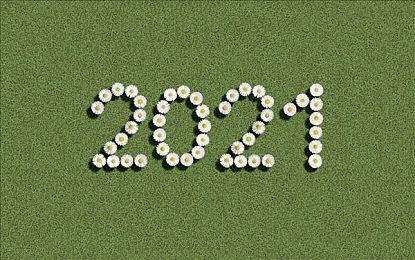 顶视角动作冒险游戏《甜点饿魔》Steam页面开放 明年发售